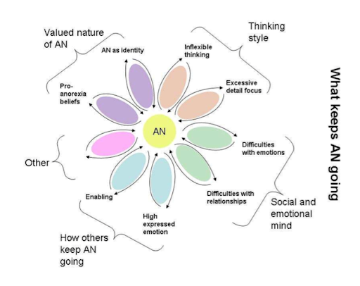 The Vicious Flower of Anorexia