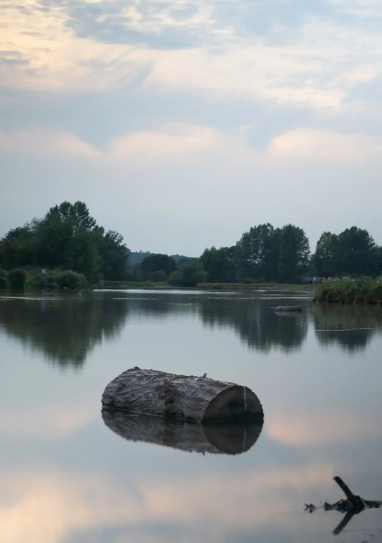 Why change is difficult